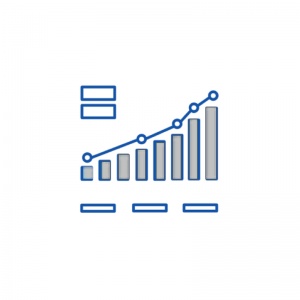 SEO Platinum Local
